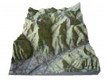 3D Print
